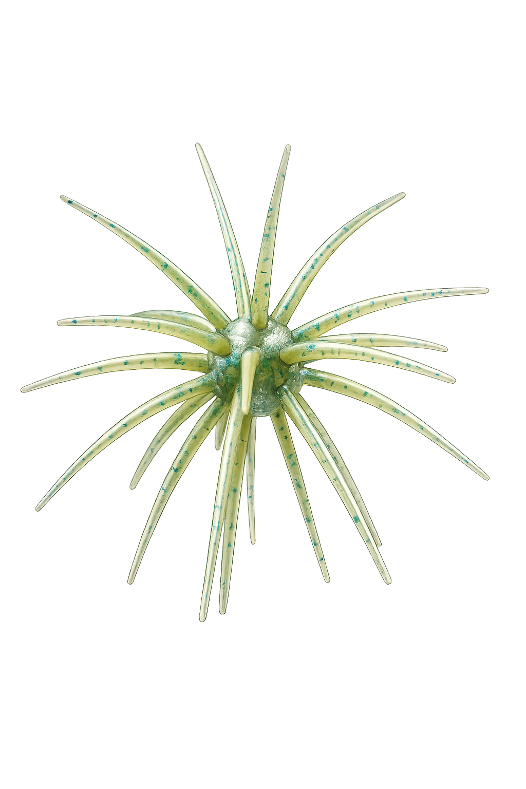 The Urchin Max - 25mm